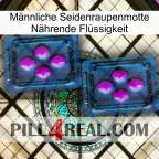 Männliche Seidenraupenmotte Nährende Flüssigkeit 03